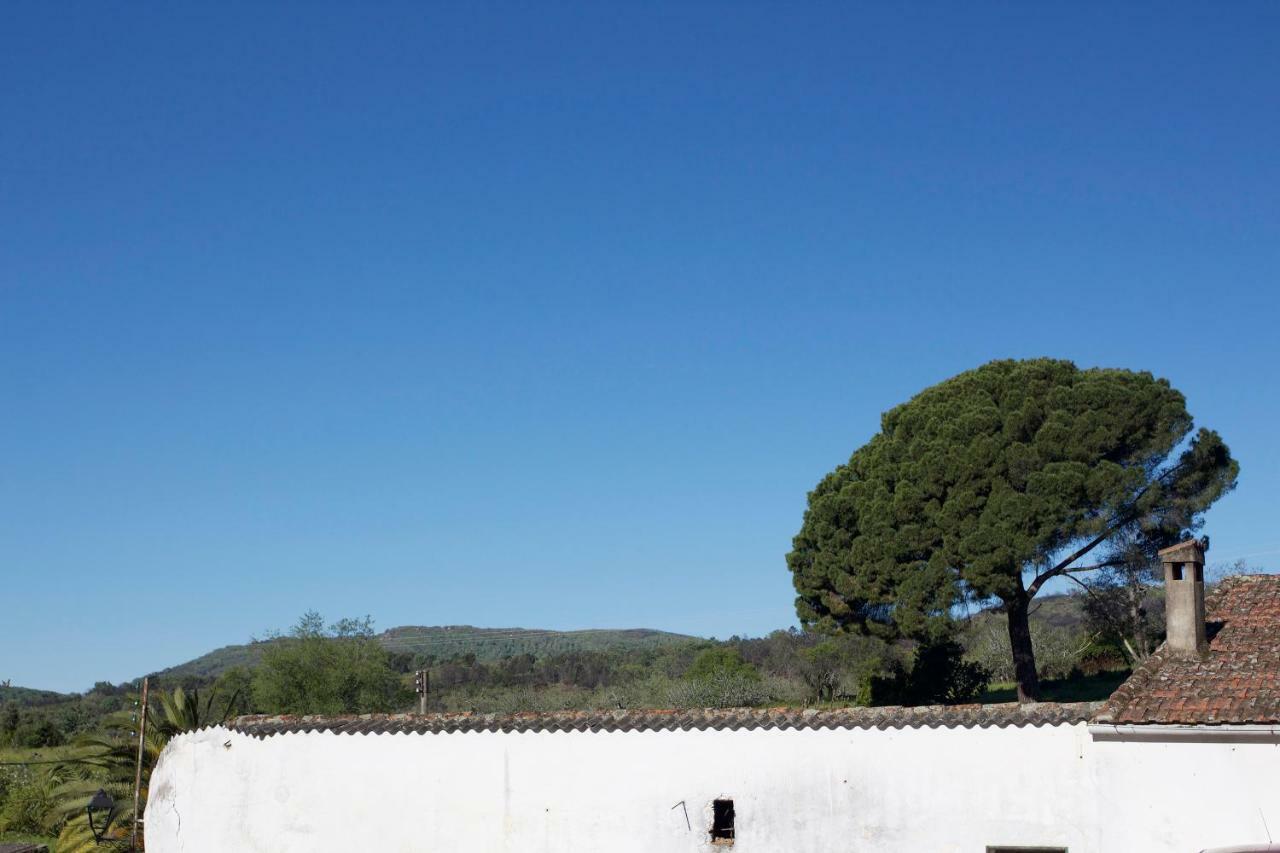 La Grulla Gris ξενώνας Perales del Puerto Εξωτερικό φωτογραφία
