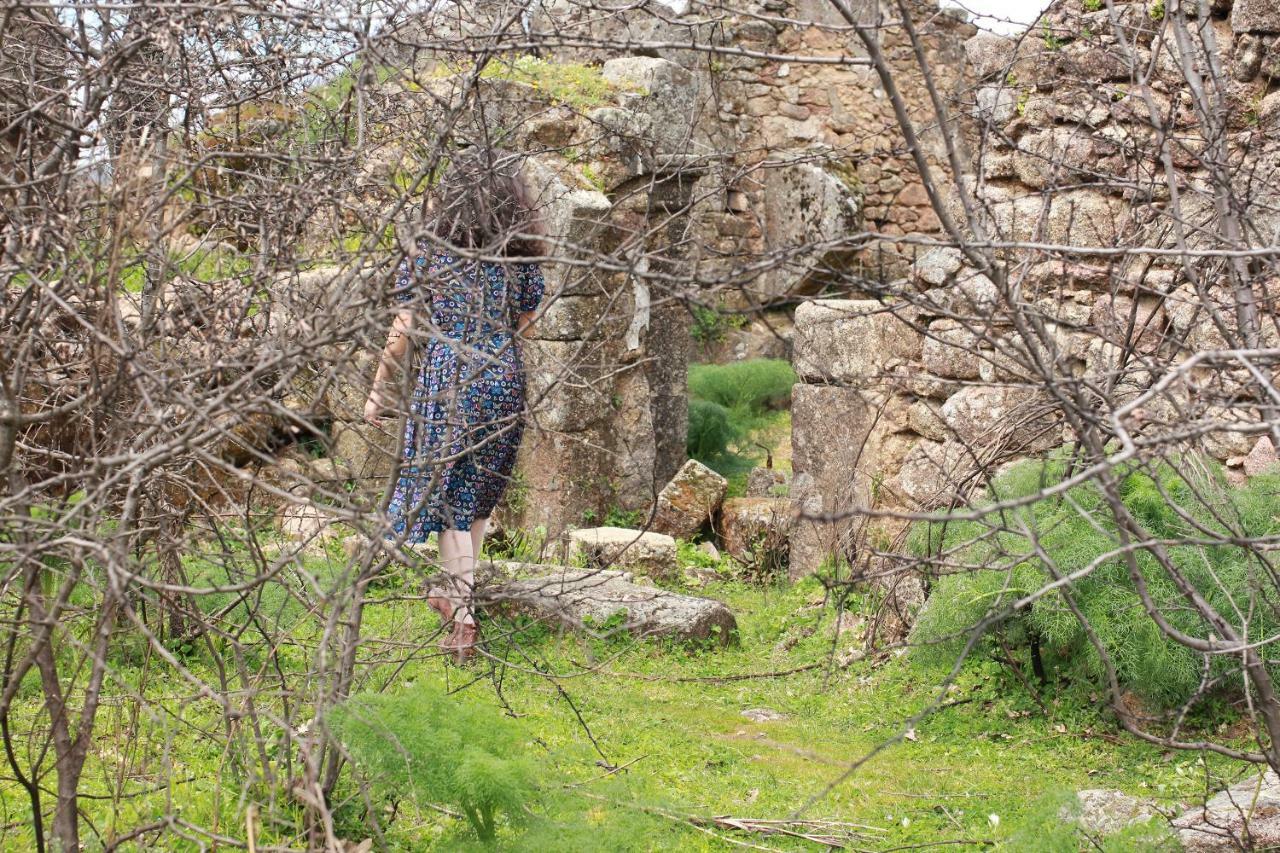 La Grulla Gris ξενώνας Perales del Puerto Εξωτερικό φωτογραφία