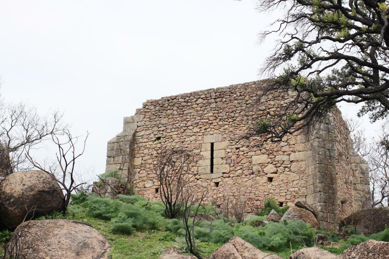 La Grulla Gris ξενώνας Perales del Puerto Εξωτερικό φωτογραφία